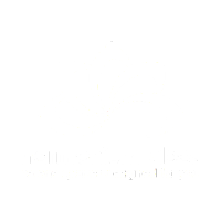 Harmonium Vibes